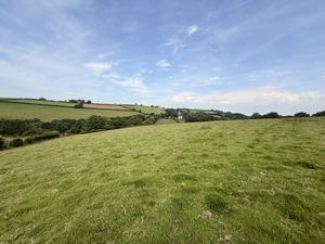  Trewidland